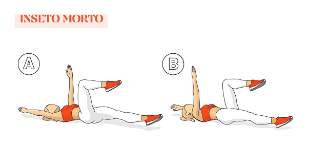 Exercício Inseto Morto